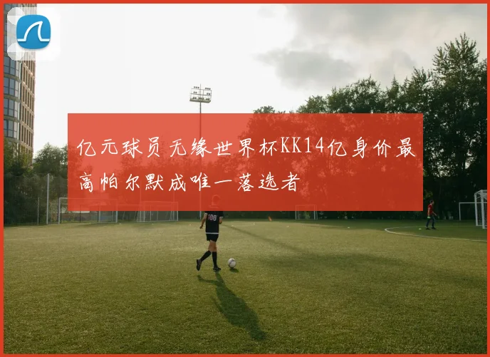 亿元球员无缘世界杯KK14亿身价最高帕尔默成唯一落选者